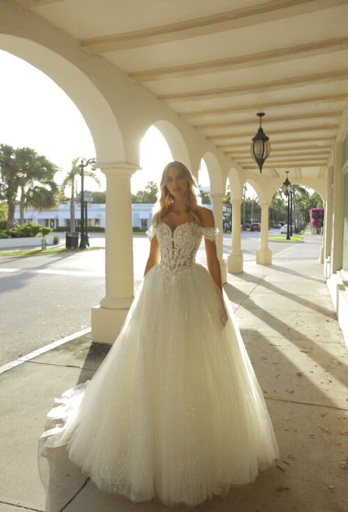Randy Fenoli Antoinette Orlando ballgown wedding dress
